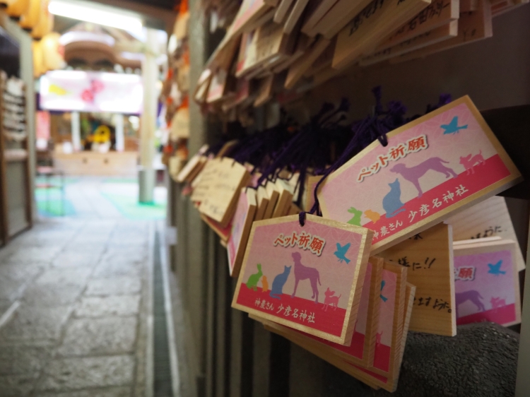 多くの参拝客がペットの健康を願って絵馬に想いを綴る