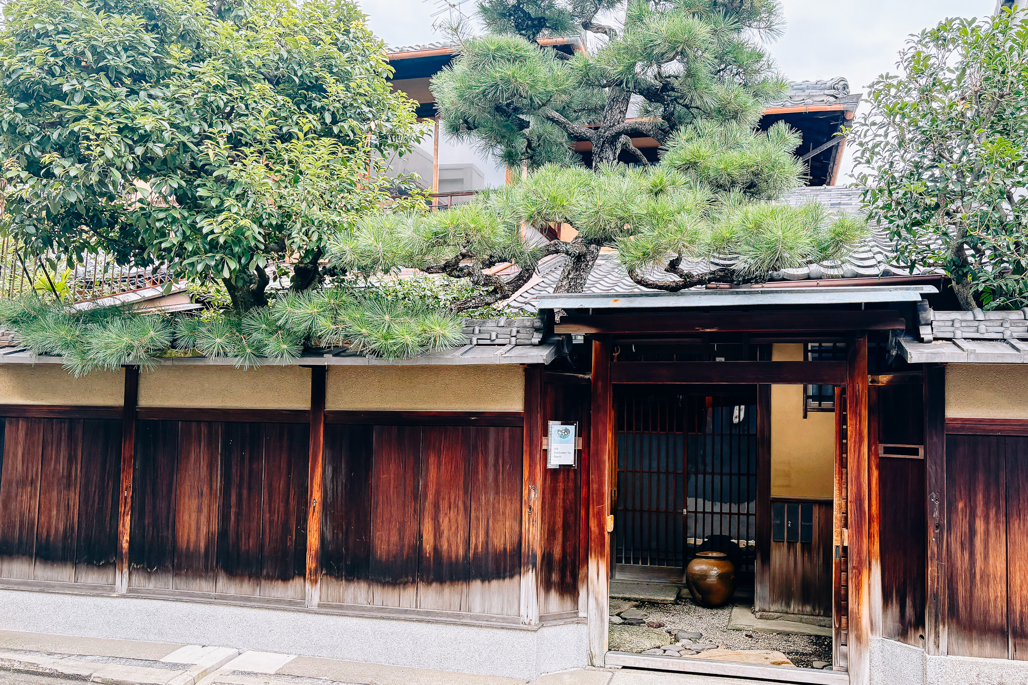 日本茶の奥深き魅力に出会える茶室「冬夏」でのひととき 