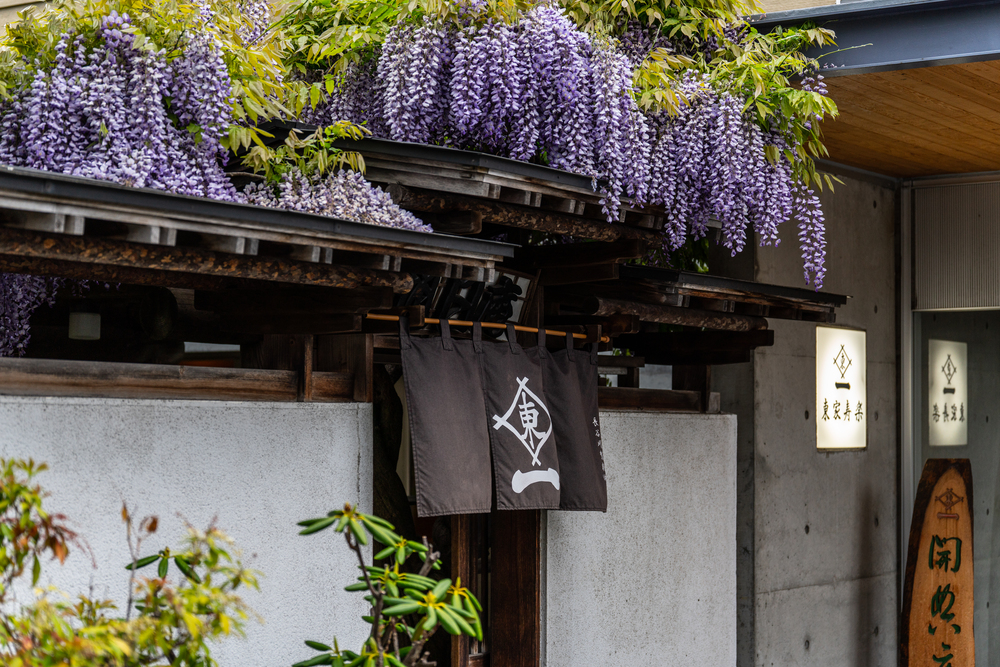 円山とともに歩んできた老舗そば店「東家寿楽」 親子で受け継ぐ味と店づくり